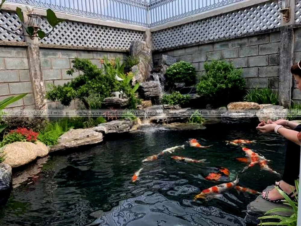 Phương pháp tạo vi sinh cho hồ cá koi Phương pháp tạo vi sinh cho hồ cá koi