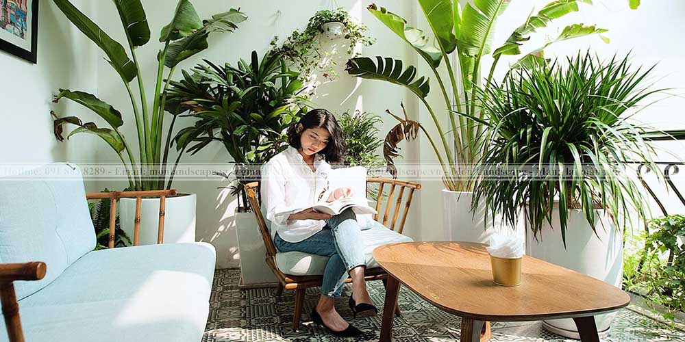 Thiết kế quán cà phê sân vườn