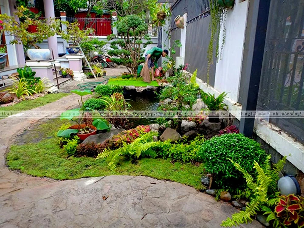 Thiết kế tiểu cảnh sân vườn sau nhà