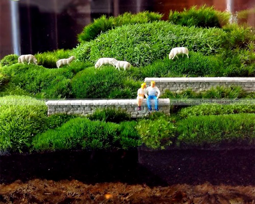 Trang trí nhà với tiểu cảnh rêu và bonsai rêu