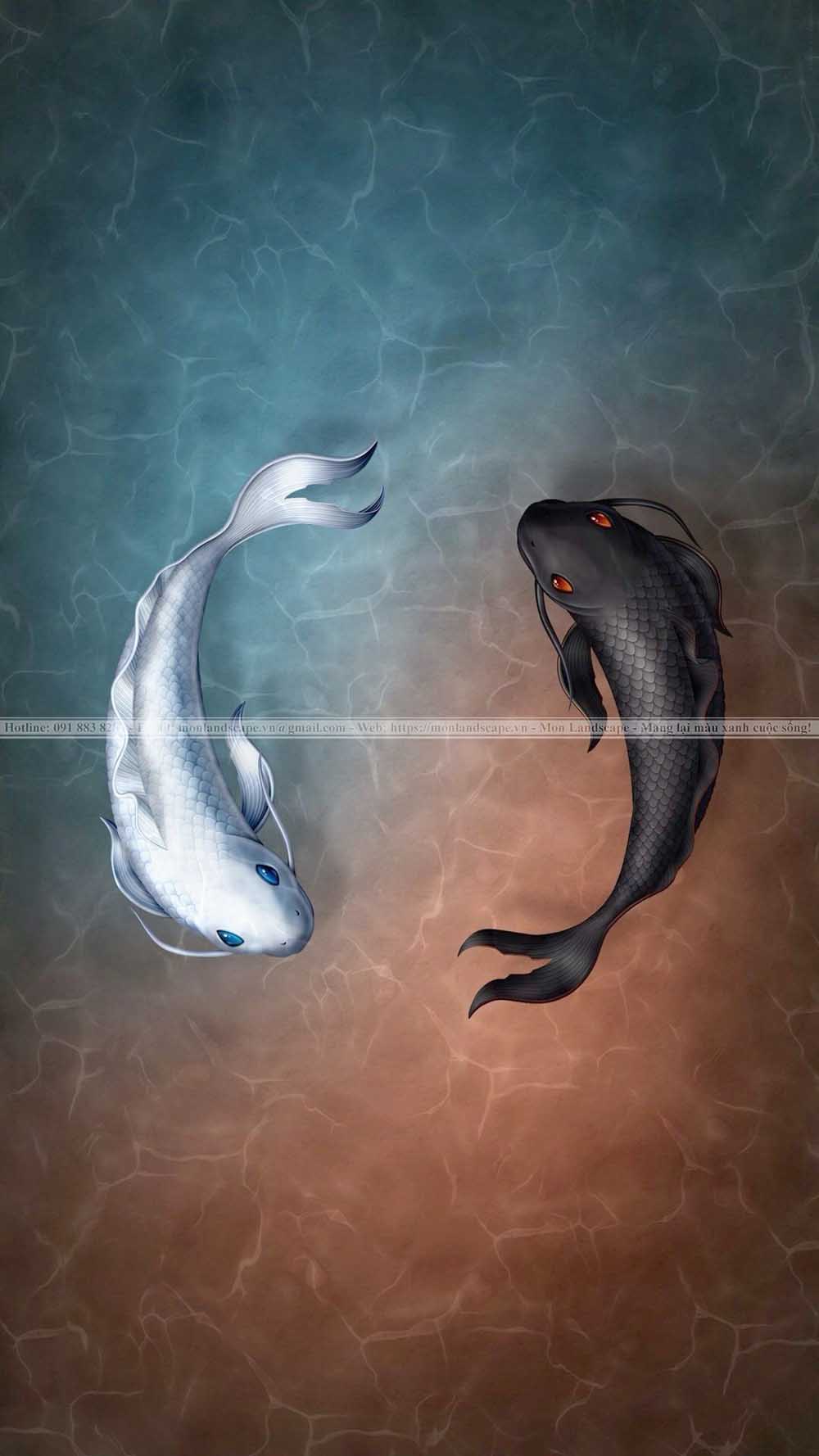 Ý nghĩa màu sắc ở cá koi
