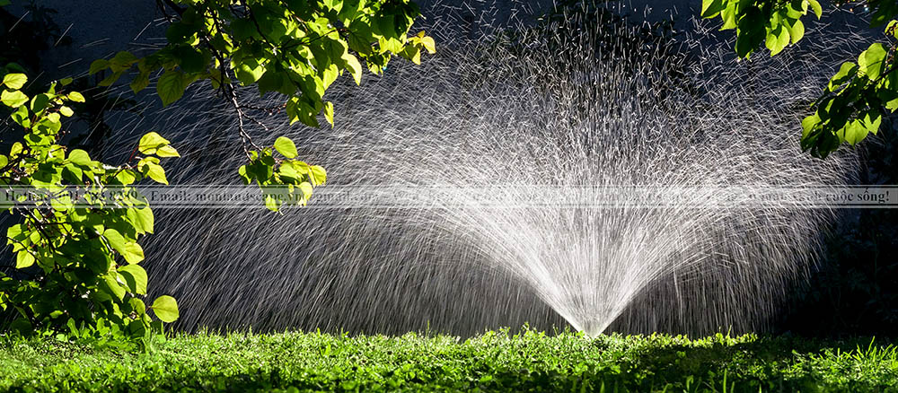 Hệ thống tưới nước tự động cho cây xanh