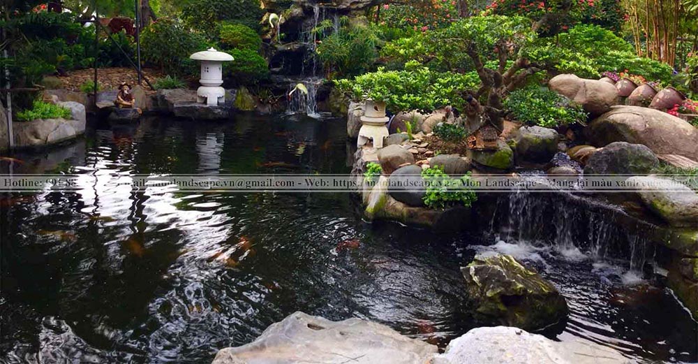 Nguyên nhân và điều trị nấm trắng ở cá koi Nguyên nhân và điều trị nấm trắng ở cá koi