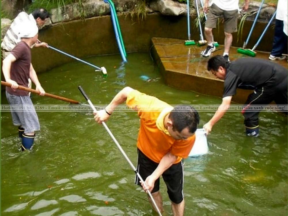 Nguyên nhân và điều trị nấm trắng ở cá koi Nguyên nhân và điều trị nấm trắng ở cá koi