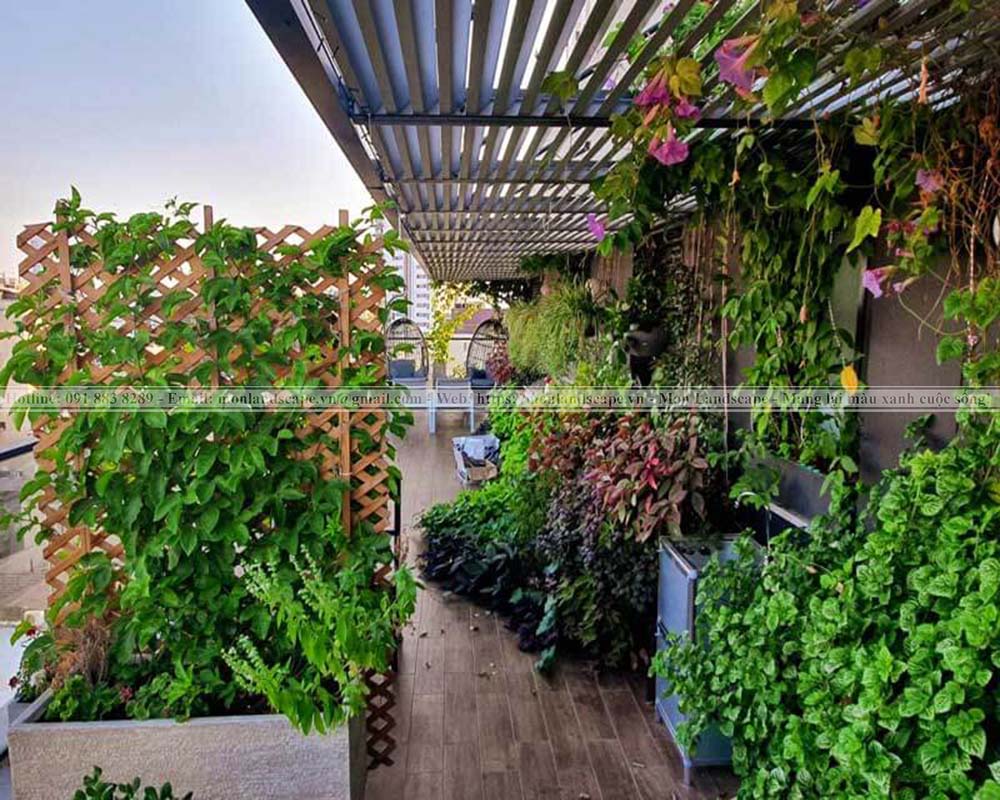 Cấu tạo của một vườn trên mái