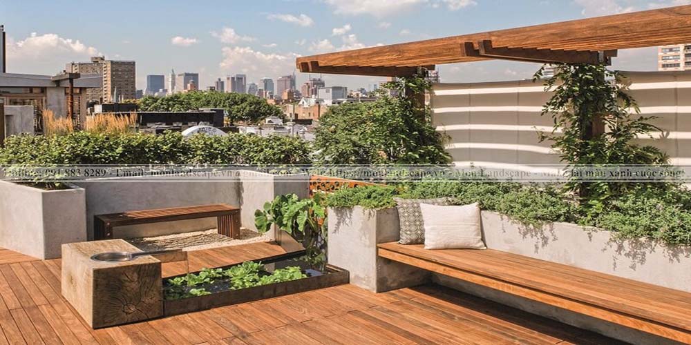 Cấu tạo của một vườn trên mái