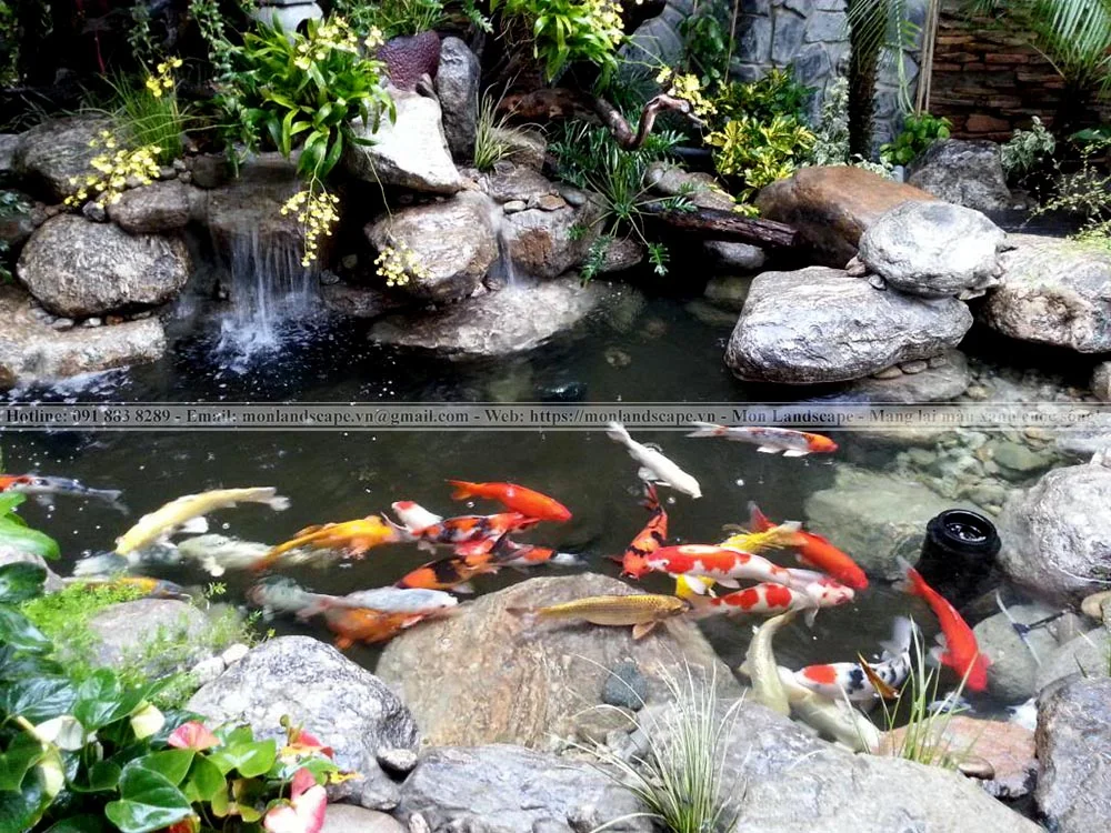Nhận biết về điều trị bệnh ngủ ở cá koi