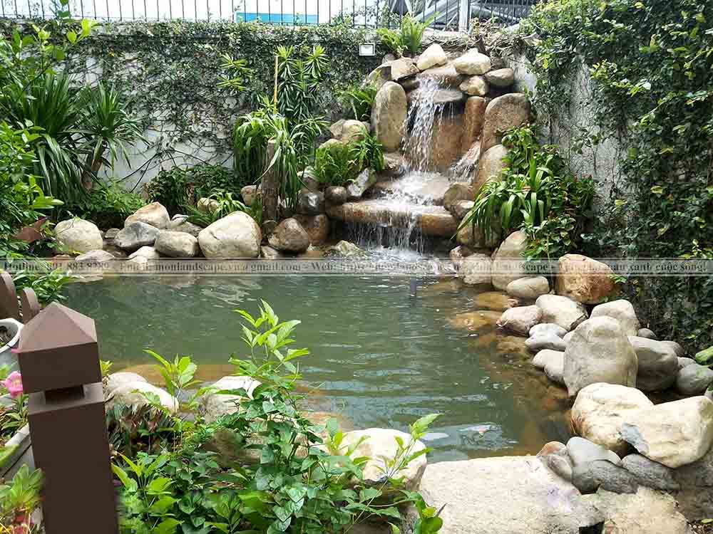 Lưu ý việc nuôi cá koi trong hồ xi măng Lưu ý việc nuôi cá koi trong hồ xi măng