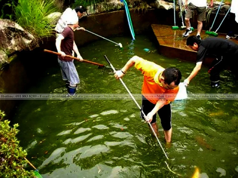 Nguyên nhân và cách xử lý hồ cá bị tanh Nguyên nhân và cách xử lý hồ cá bị tanh