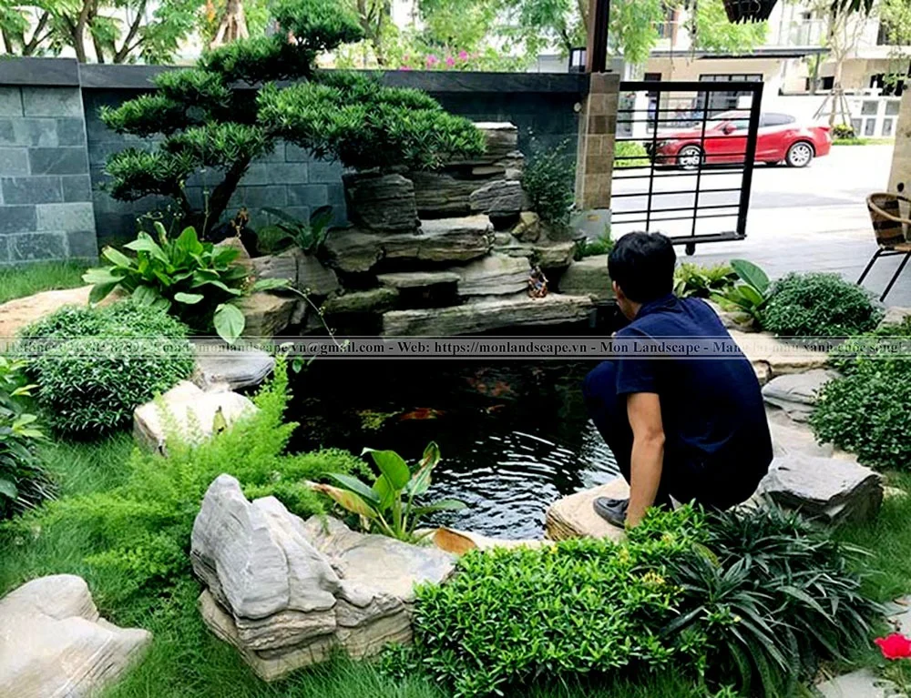 Nguyên nhân và cách xử lý hồ cá bị tanh Nguyên nhân và cách xử lý hồ cá bị tanh