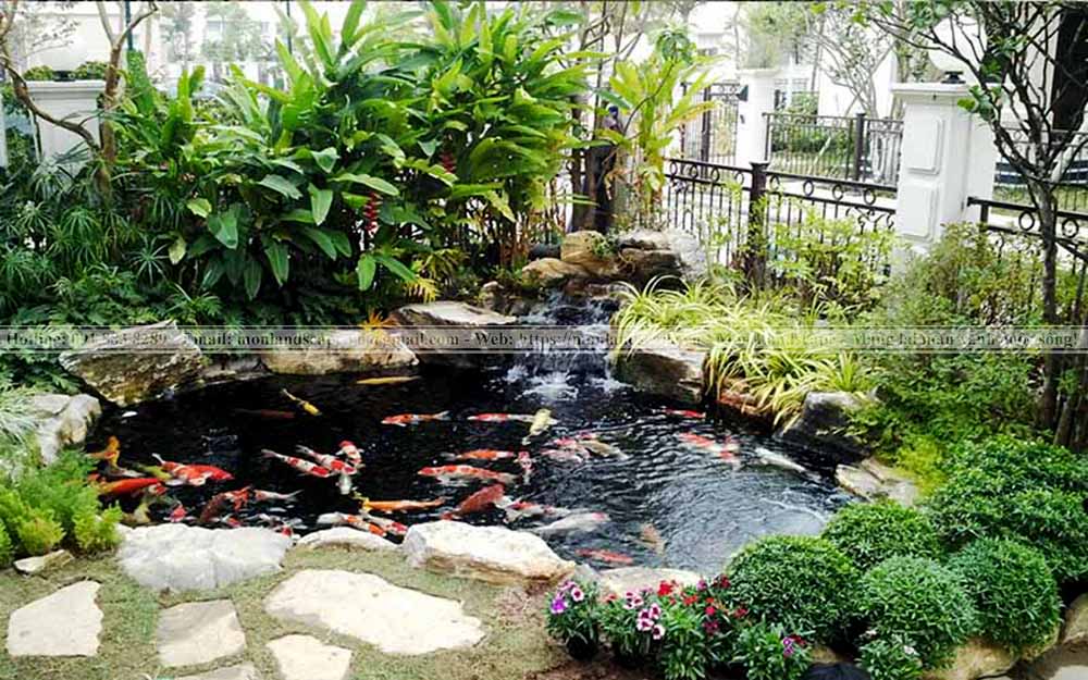 Nguyên nhân và cách xử lý hồ cá bị tanh Nguyên nhân và cách xử lý hồ cá bị tanh