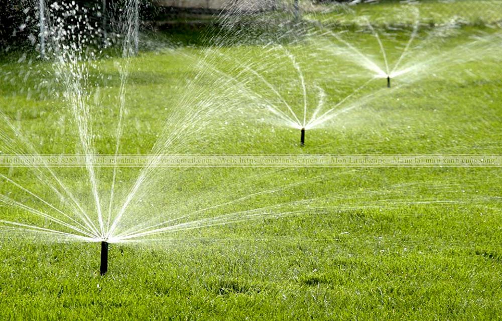 Hệ thống tưới nước tự động cho cây xanh