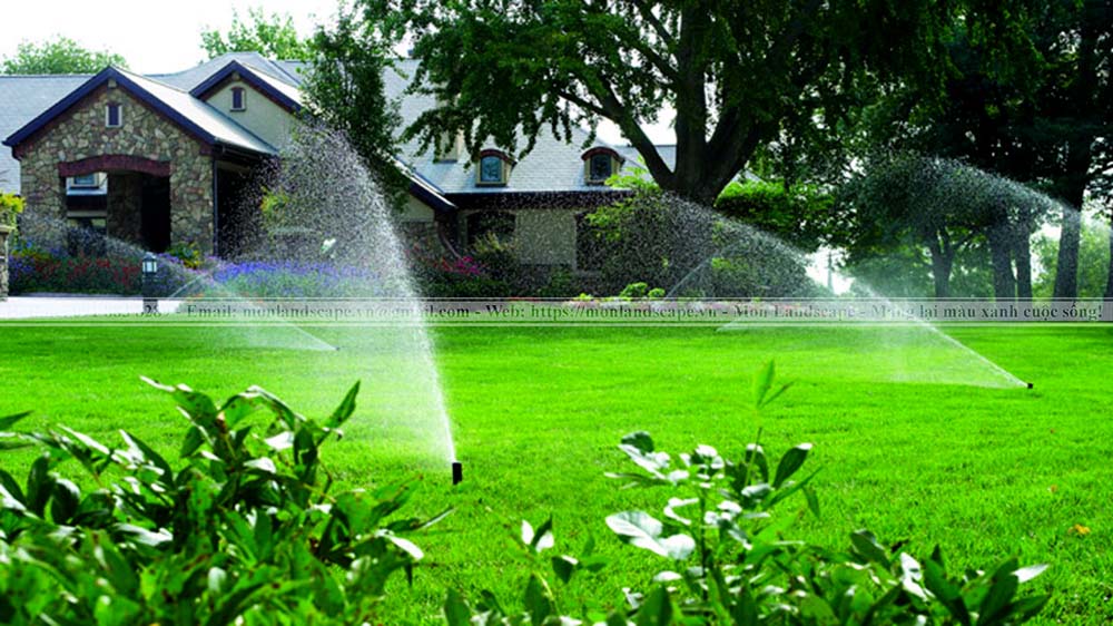 Hệ thống tưới nước tự động cho cây xanh