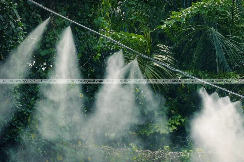 Hệ thống tưới nước tự động cho cây xanh