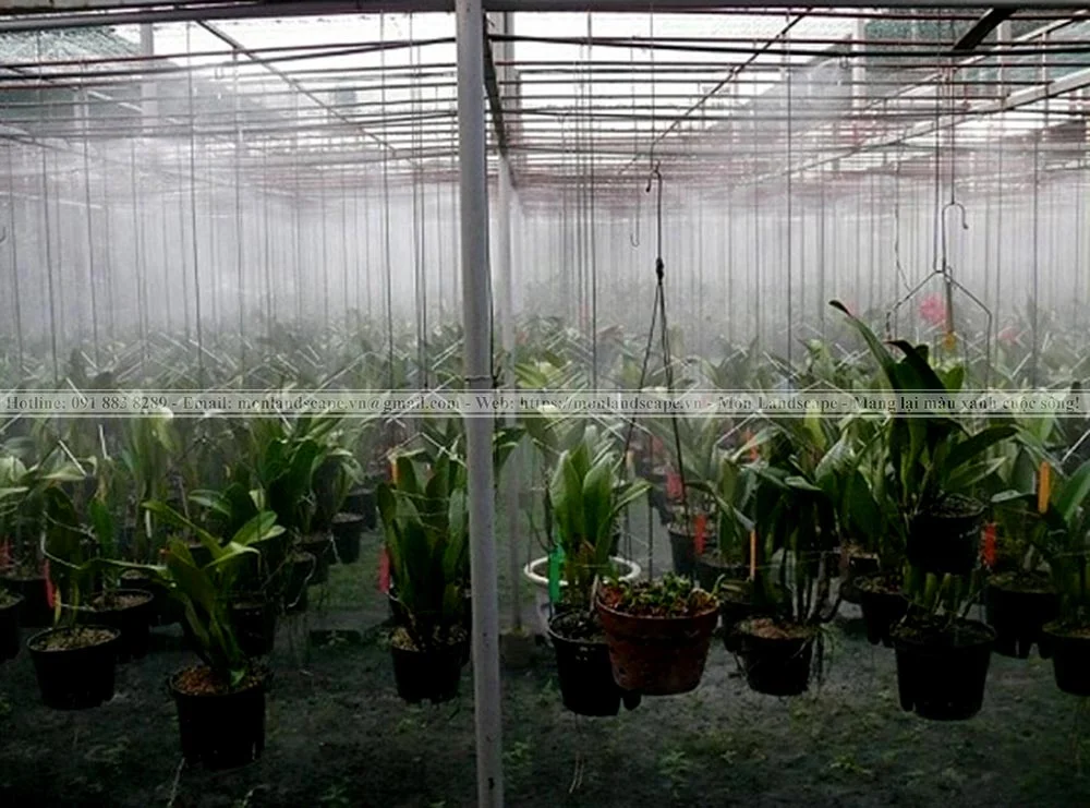 Hệ thống tưới nước tự động cho cây xanh