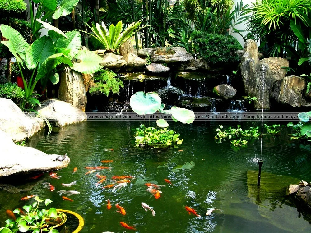 Tiểu cảnh tĩnh và tiểu cảnh động là gì? Tiểu cảnh tĩnh và tiểu cảnh động là gì?