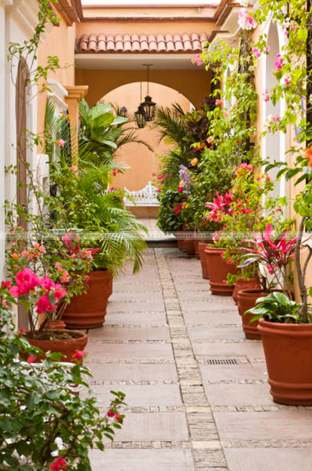 Thiết kế sân vườn phong cách Patio Thiết kế sân vườn phong cách Patio