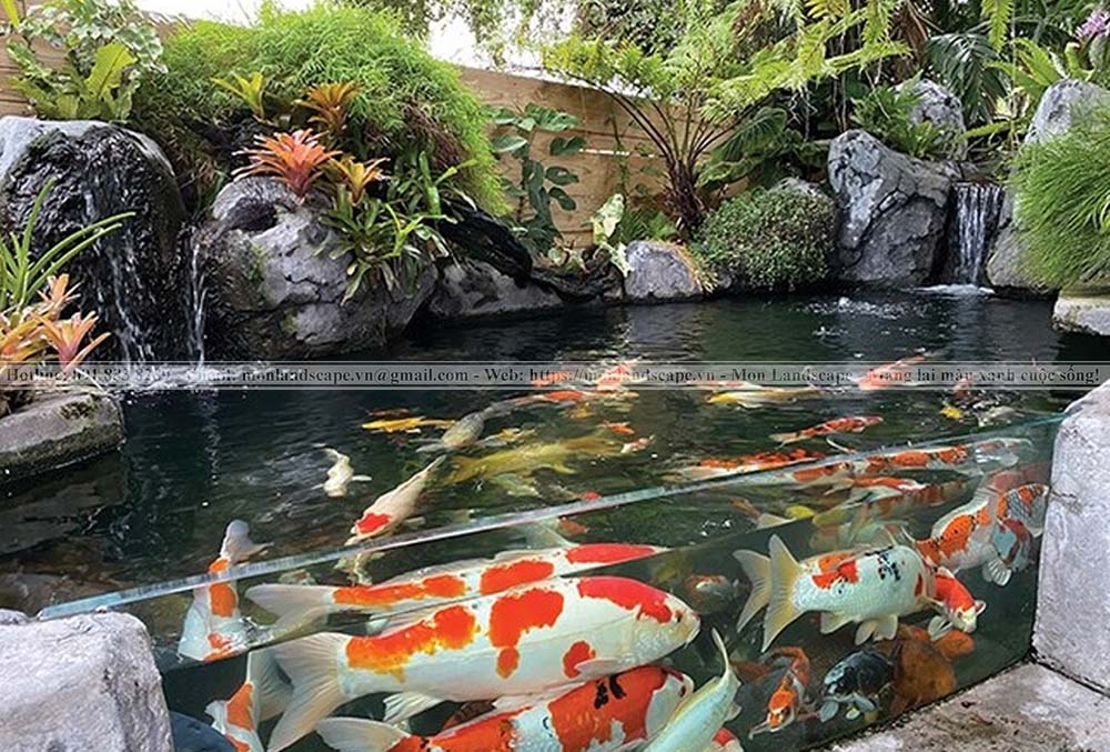 Thiết kế hồ cá koi bằng kính