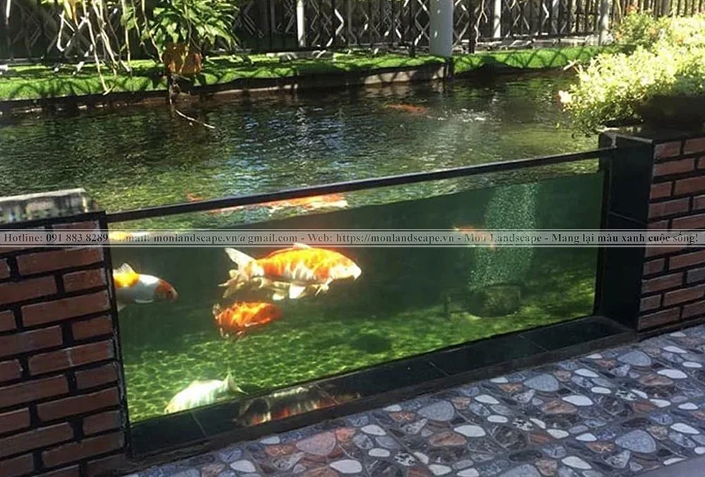 Thiết kế hồ cá koi bằng kính