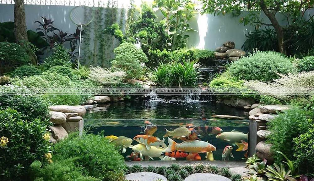 Thiết kế hồ cá koi bằng kính