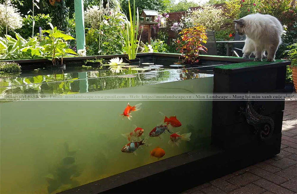 Thiết kế hồ cá koi bằng kính