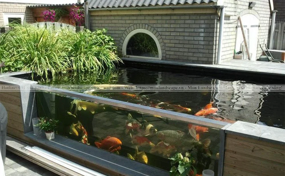 Thiết kế hồ cá koi bằng kính
