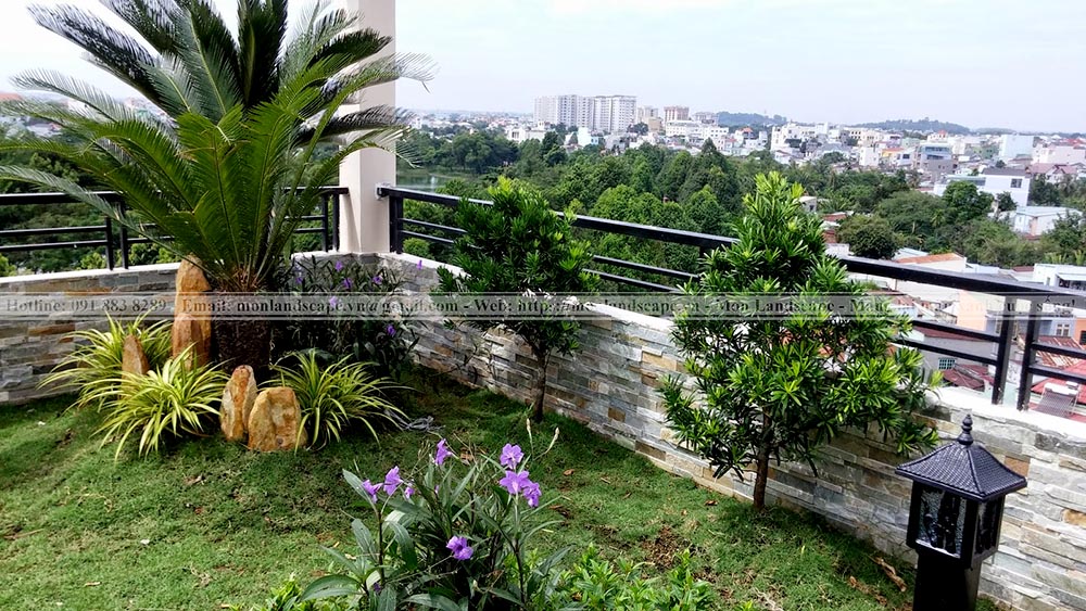 Trồng cây to trên sân thượng lưu ý điều gì?