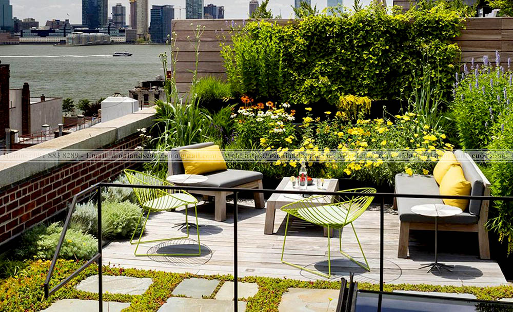 Trồng cây to trên sân thượng lưu ý điều gì?