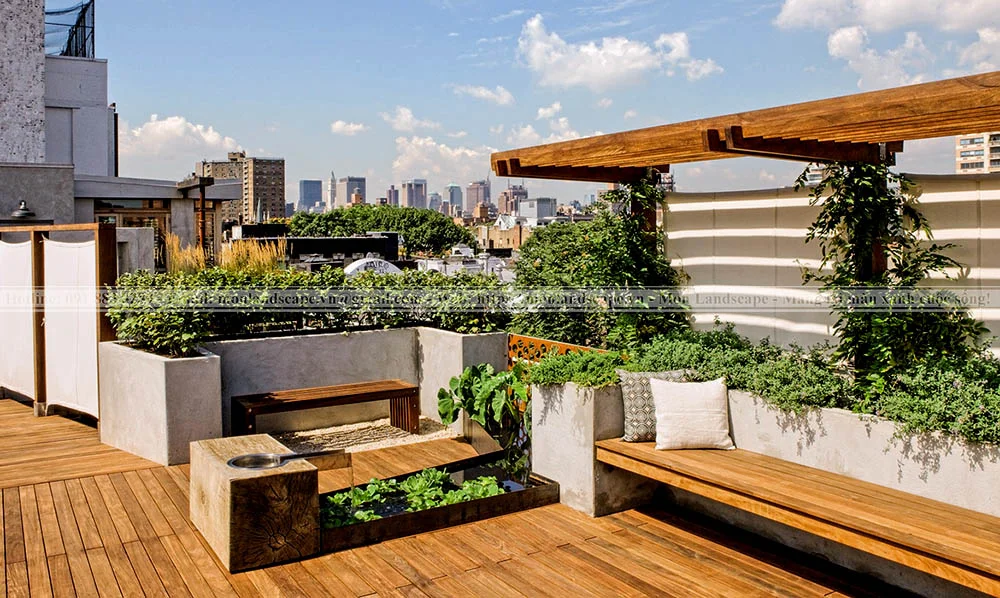 Trồng cây to trên sân thượng lưu ý điều gì?