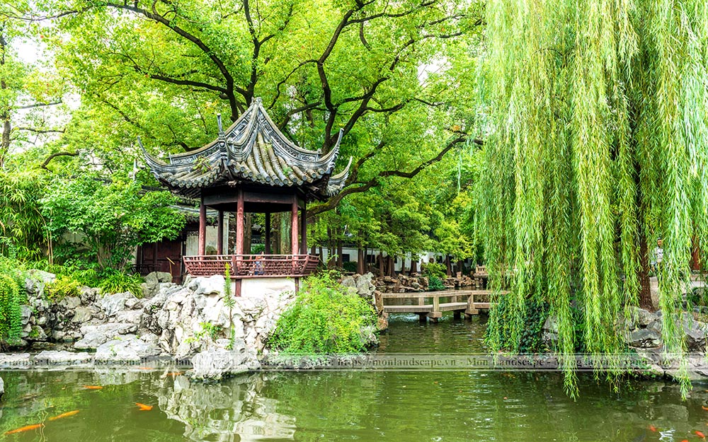 Cây xanh trong sân vườn Trung Quốc