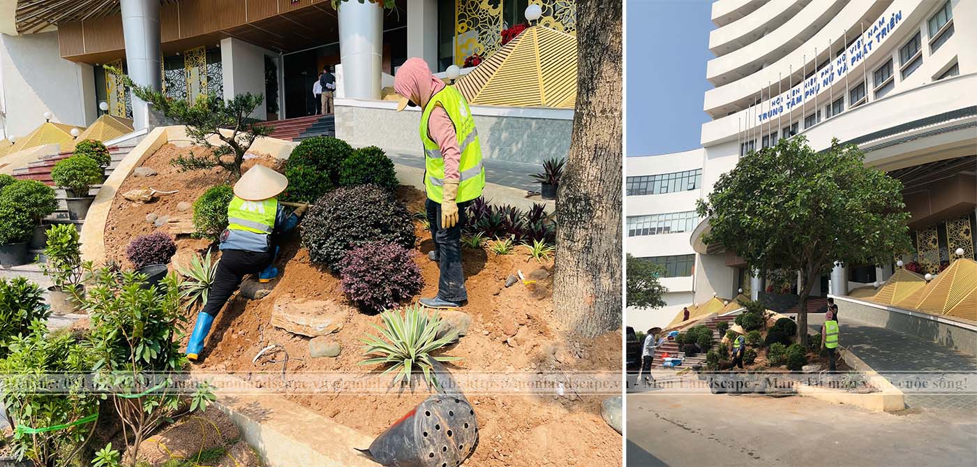 Hạng mục trồng cây bụi, cây thảm trong sân vườn