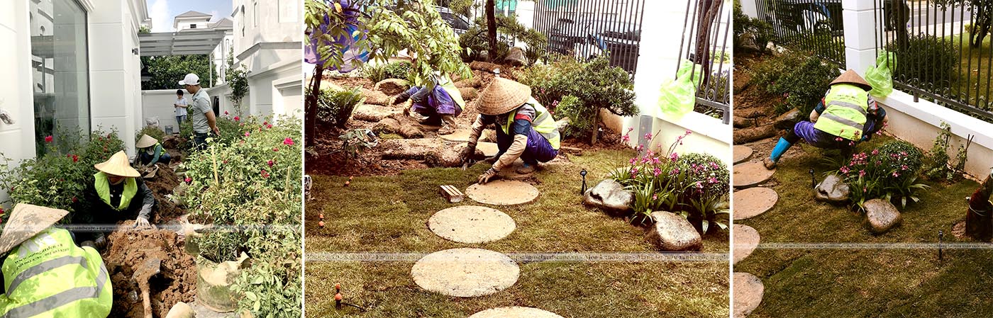 Hạng mục trồng cây bụi, cây thảm trong sân vườn